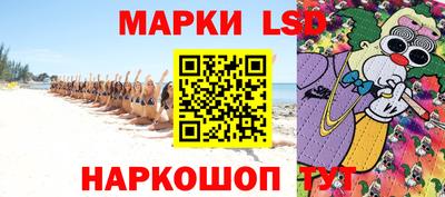 МДПВ Новозыбков