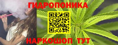 МДПВ Новозыбков